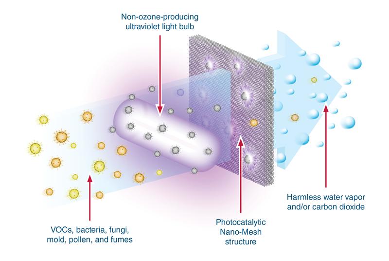 Breathe Easy Portable Air Purifier